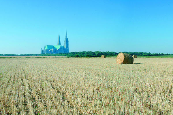 Chartres Cathedral in the distance hovering over the wheatfields