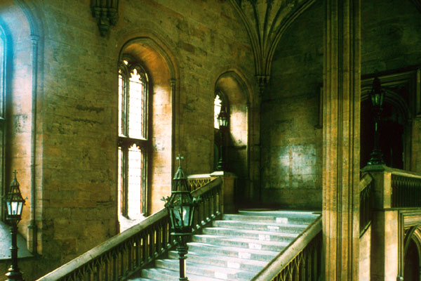 Harry Potter Tour in London in Car or Minibus British Tours Harry Potter Tour in London in Car or Minibus British Tours
