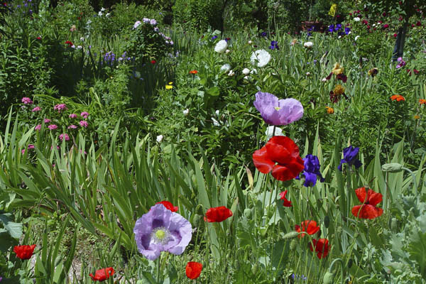 Giverny Flower Garden Giverny Flower Garden