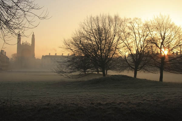 Cambridge University
