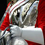 Household Cavalry Whitehall London