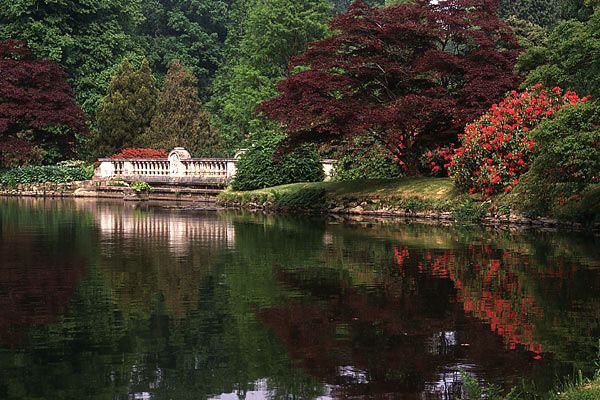 Sheffield Park - un parque de 100 acres diseñado en el siglo XVIII con una serie de lagos conectados por cascadas Sheffield Park - un parque de 100 acres diseñado en el siglo XVIII con una serie de lagos conectados por cascadas
